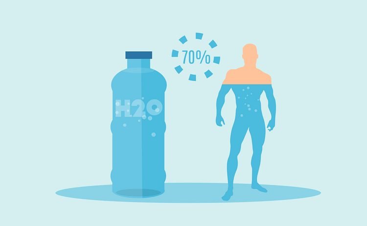 humans are made up of 70% water - motorcycle touring hydration