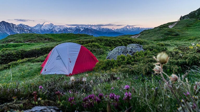 tent in field of flowers overlooking mountain range - motorcycle camping