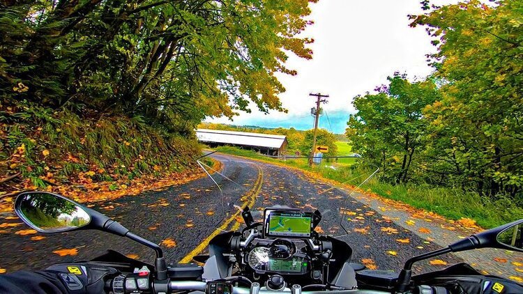 motorcycle on leaf-covered road