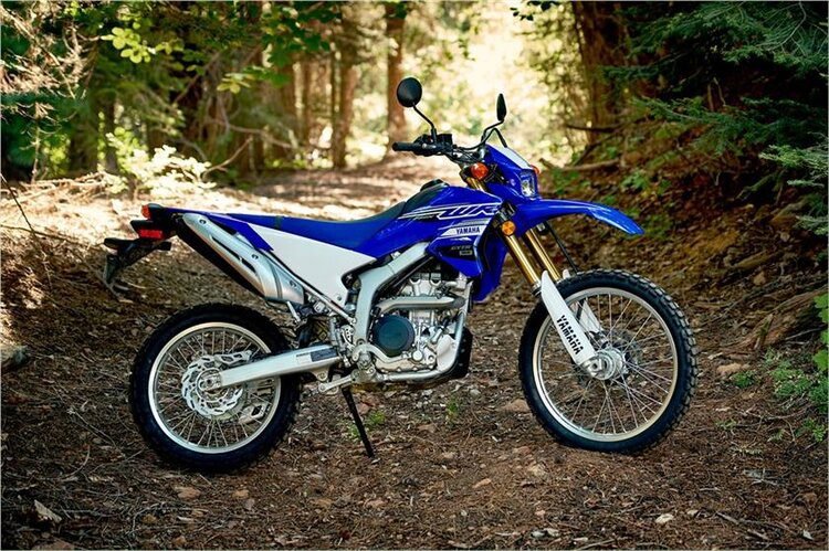 yamaha motorcycle in forest