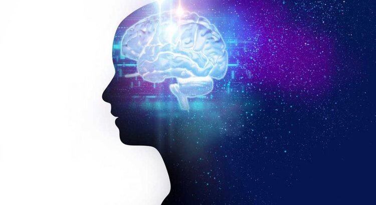 brain vector