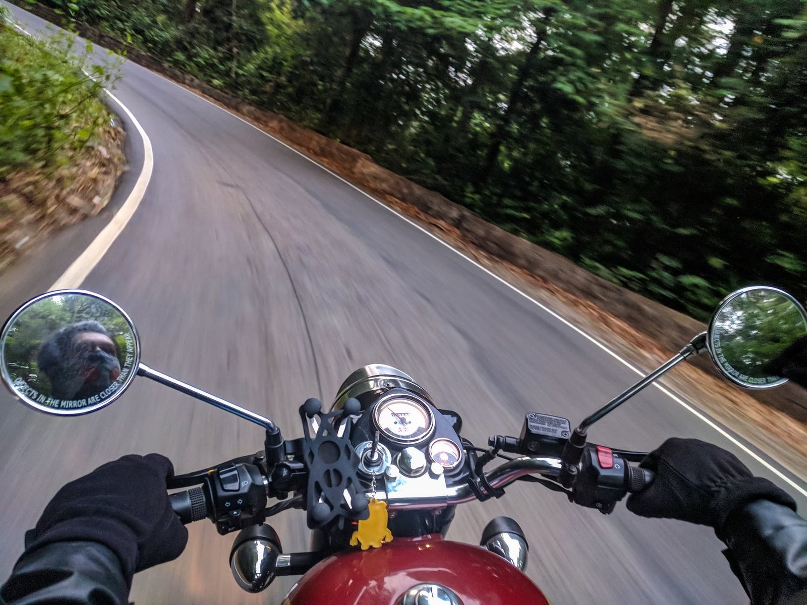 person driving motorcycle on curved concrete road near trees - cornering a motorcycle