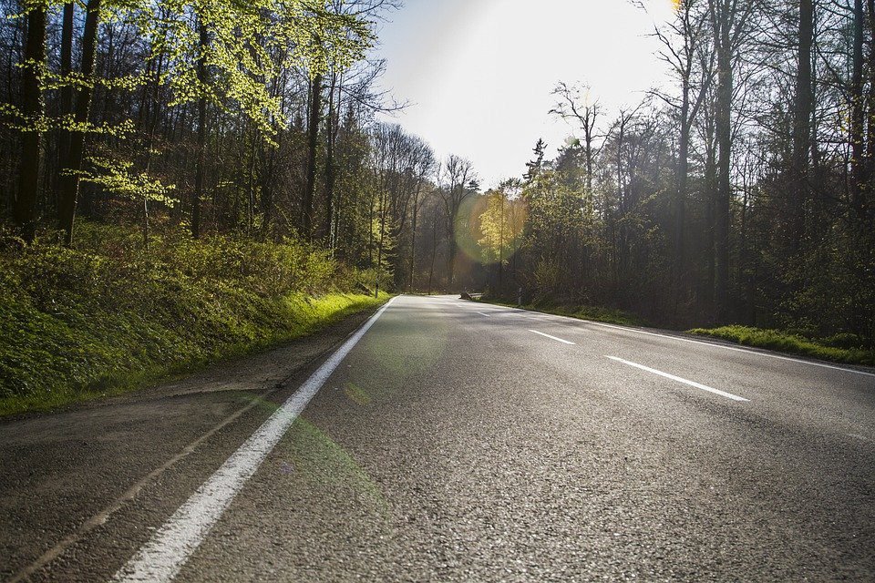 wet forest road