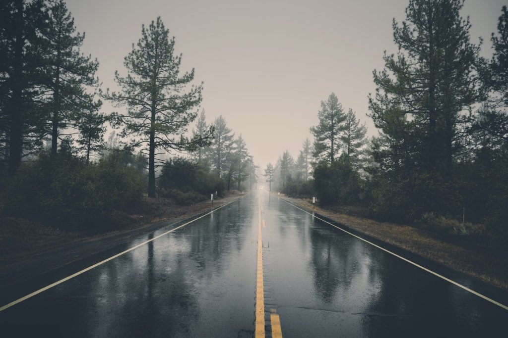 forest and road in heavy rain