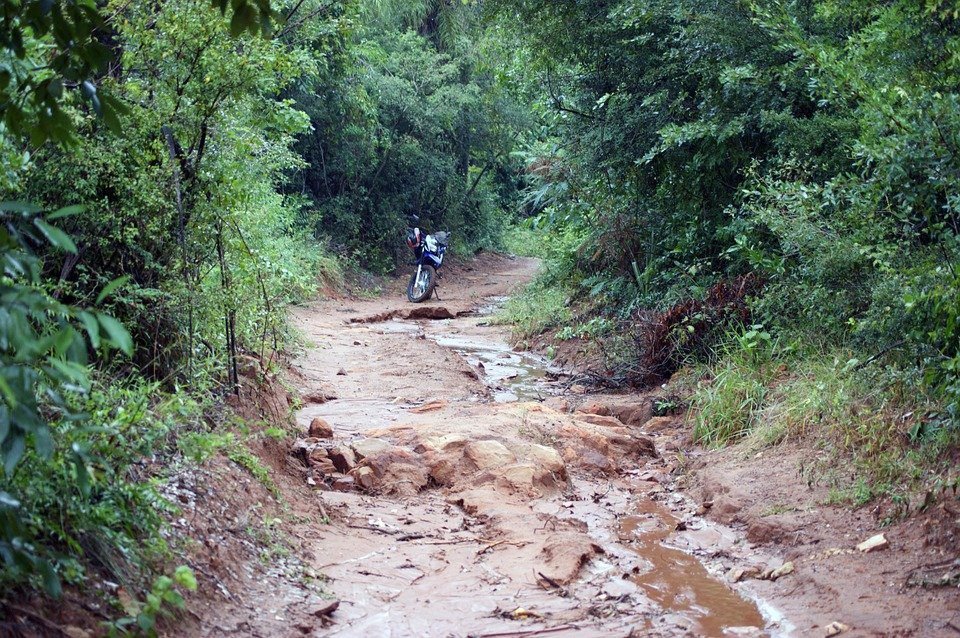 motorcycle in jungle