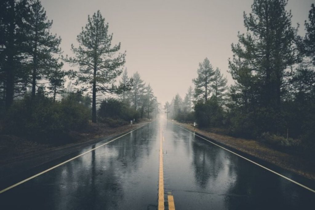 motorcycle riding in the rain - wet road through trees