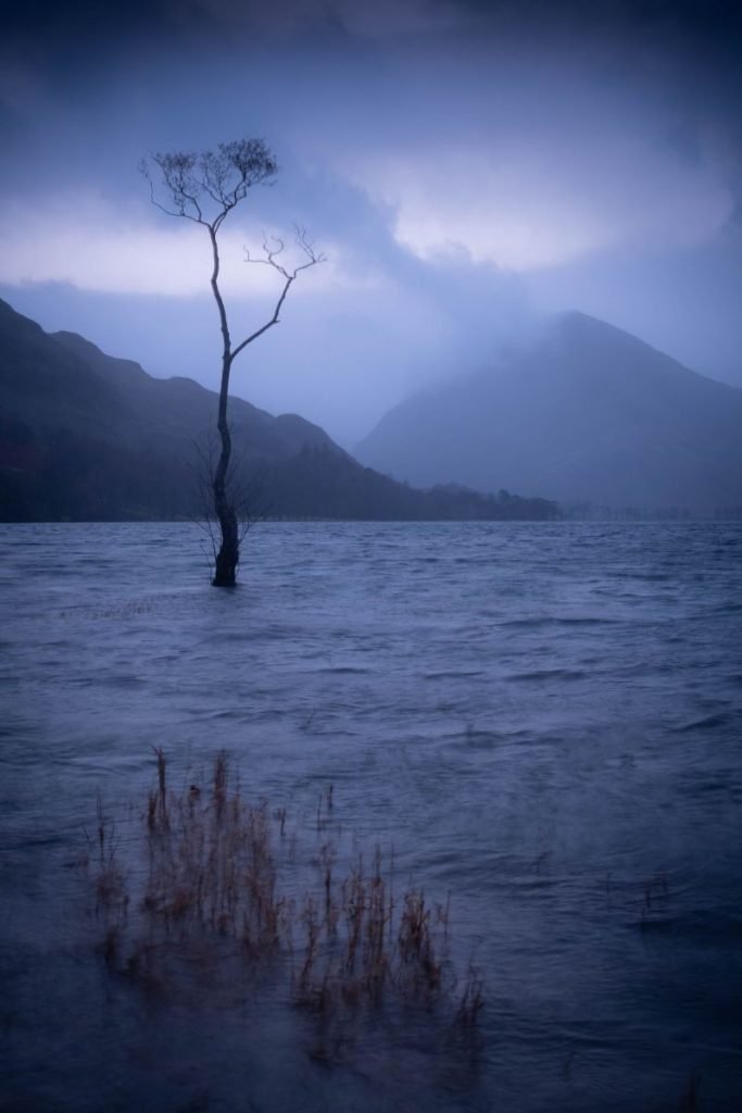 Motorcycling In The Lake District - lone tree at buttermere