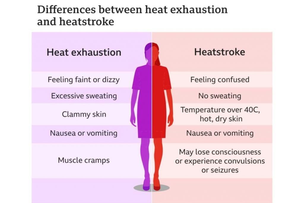 differences between heat exhaustion and heatstroke