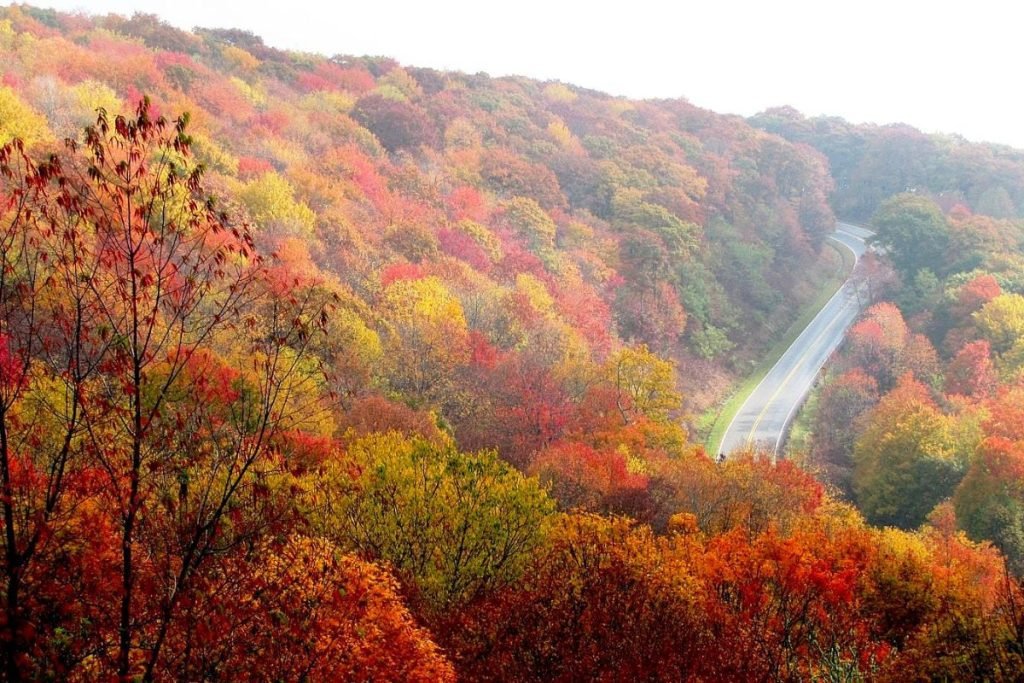 The Cherohala Skyway