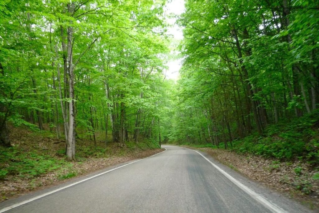 top places USA motorcycle - The Tunnel of Trees